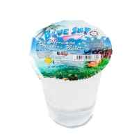 BLUE SKY DRINKING WATER - 230ML X 48 CUP